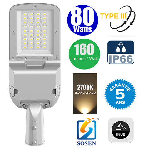 Lampadaire LED Filaire Rotatif - Série FLEX EVO - 80 Watts - 12 800 Lumens - 160 Lumens/Watt - Angle TPIII - IP66 - IK08 - 56 x 20 x 10 cm - 2700k - Transformateur SOSEN - Tube d'insertion 60mm - Garantie 5 ans