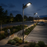Pack lampadaire solaire complet 3/4/5/6 mètres au choix : Lampe solaire STREET EVO V2 + Mât EVO - Entraxe des trous 200mm - Noir