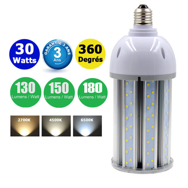Ampoule LED  E27 / E40 au choix - Série CL6 - 30 Watts - 130 / 150 / 180 lumens par Watt au choix - 93 x 245 mm - Angle 360° - IP44